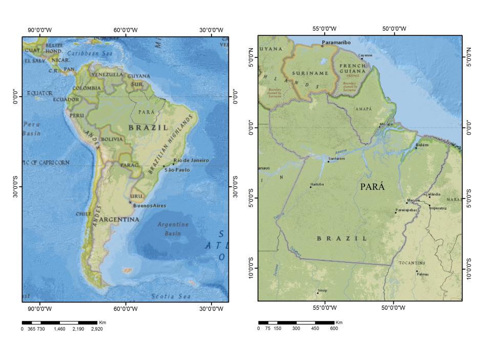 maduras e secundárias e o conseqüente aumento das queimadas, transformando a floresta amazônica em fonte de Gases de Efeito Estufa (GEE) - (ARAGÃO et al., 2007; LEWIS et al.