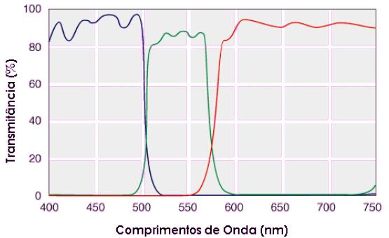 Filtros de Absorção Humberto Gracher Riella.