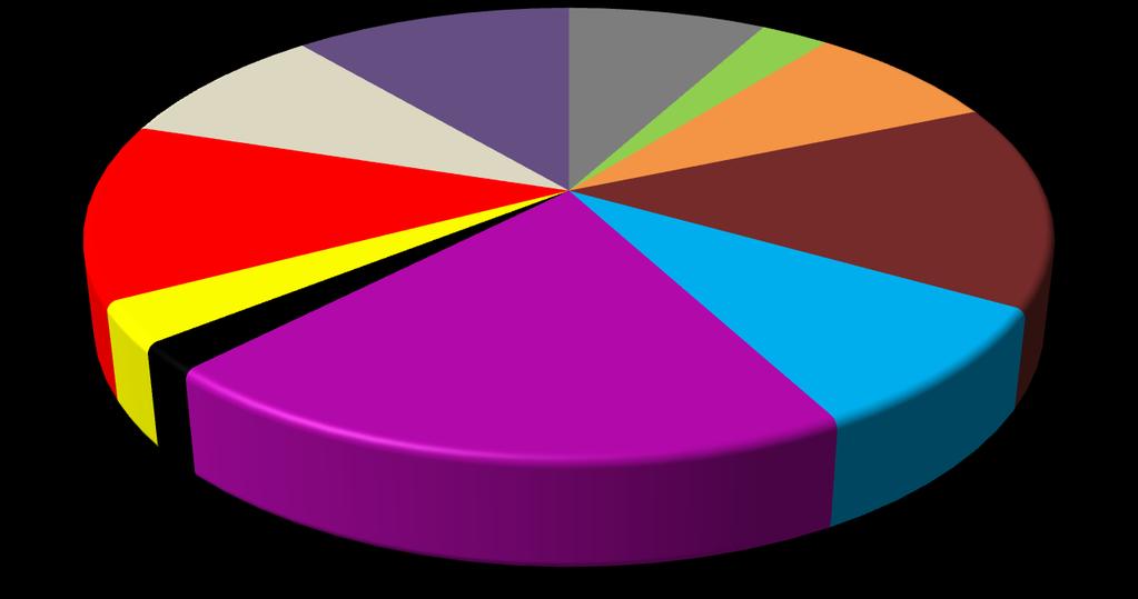 Materiais de Interesse Outros 11% Borrachas 8% Eletro/Eletrônico 3% Vidro 9% Materiais não recicláveis 8% PET/Plásticos 13% Papel/Papelão 3% Metais - ferro e