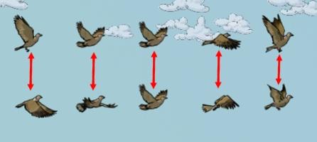 4 A paridade da configuração no exemplo acima pode ser determinada por vários métodos. Talvez a maneira mais óbvia seja parear os pássaros que estão alinhados verticalmente.