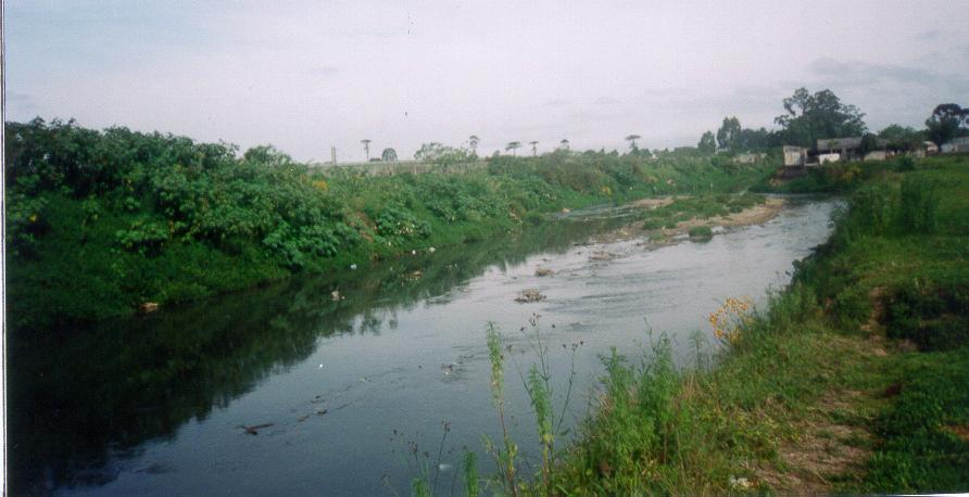 D) Curso inferior do rio Atuba na Vila Autódromo bairro Cajuru.