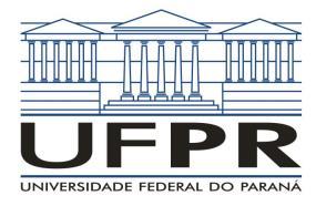 Edital PROEC nº 01/2017 Edital de seleção de propostas para ministrantes de oficinas - 27º Festival de Inverno da UFPR A Universidade Federal do Paraná (UFPR), por meio da Coordenadoria de Cultura