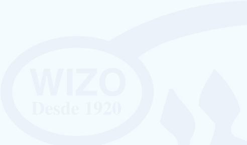 Candidata à Presidência da WIZO Brasil Silene Balassiano,
