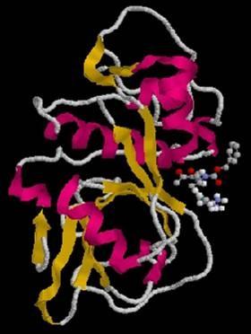 Alvos Moleculares 200