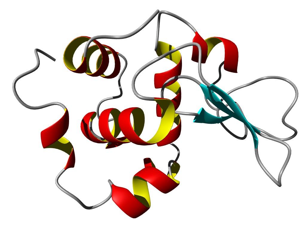 Modelagem Modelagem Comparativa Comparativa A metodologia se baseia no fato de que duas proteínas com função similar possuem similaridade estrutural.