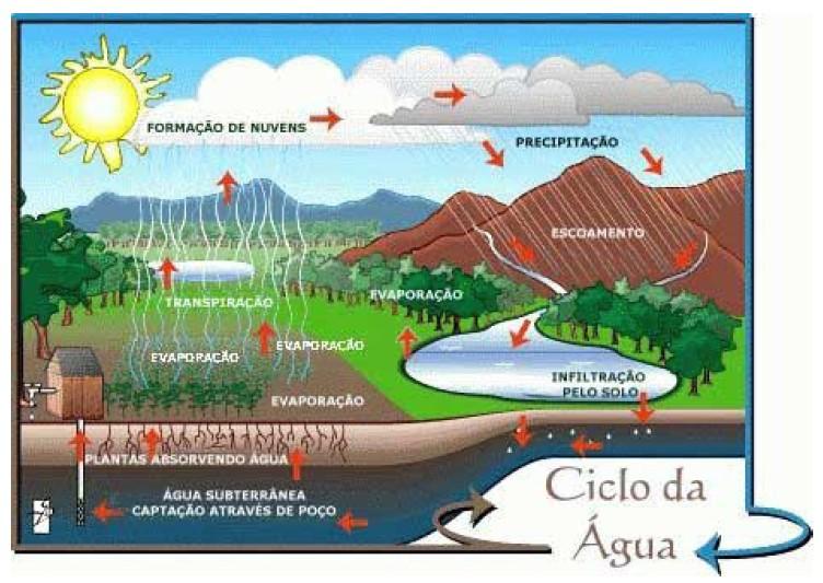 FUNDAMENTOS, CICLO HIDROLÓGICO E IMPUREZAS Ocorrência da água na natureza estados