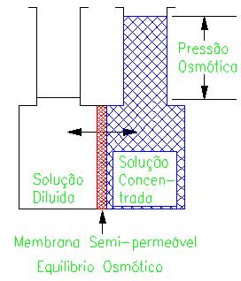 Tratamentos da