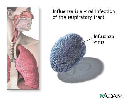 Influenza Definição Doença infecciosa aguda do trato respiratório, de etiologia viral, altamente contagiosa.