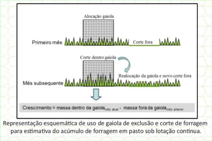 exclusão De posse destas informações podemos calcular a DISPONIBILIDADE DE FORRAGEM Disponibilidade massa de forragem + acúmulo de forragem em determinado