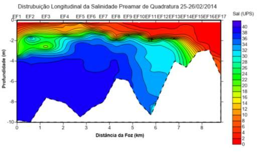 50 Figura 36: Distribuição longitudinal da salinidade de todos os perfis no estofo de maré quadratura do dia 25-26/02/2014.