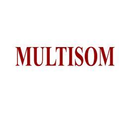 REPRESENTANTES AIG SEDE MULTISOM Razão Social: MULTISOM COMÉRCIO E IMPORTAÇÃO LTDA CNPJ: 68.798.016/0002-06 Rua João Wallig, nº 1800, Lojas 1.218, 1.219 e 1.220, CEP 91.