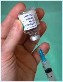 VACINA INFLUENZA Tipo: fragmentada e inativada Vacina trivalente: 15 mcg/dose de cada HA Composição: Influenza vírus A (H1N1, H3N2) e B Capacidade de Produção: