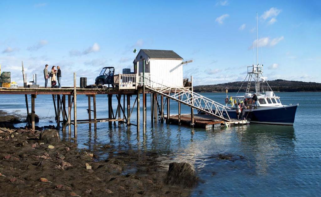 Trabalho de prega ç ão em Dyer Bay, Steuben, Maine, EUA VÃO E FAÇAM DISC ÍPULOS MATEUS 28:19 A filial dos Estados Unidos coordena o serviço de mais de 1,2 milh de pregadores das boas novas.