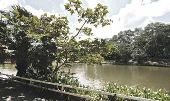 lanchonetes e a proximidade com o clima e a natureza do Horto Florestal, tudo isso à sua disposição.