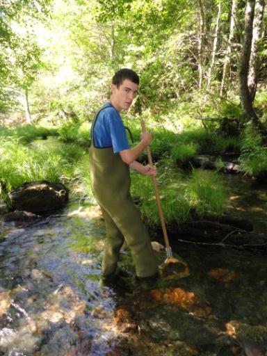 Figura 4. Processo de captura dos macroinvertebrados com rede de mão.