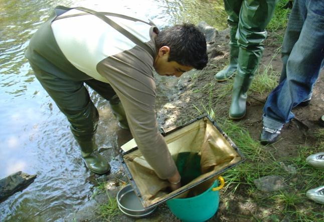 A colheita dos invertebrados foi realizada em função do tipo de habitats identificados; f) Esforço de amostragem - Em cada local de amostragem foram efectuados