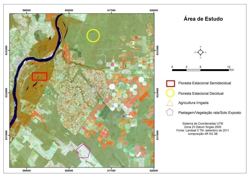 RESULTADOS E DISCUSSÃO Numa breve interpretação do uso do solo observado na cena Landsat 5 - TM 219/70 (referente à maior parcela na área de estudo, município de Itacarambi), esta é composta pelas