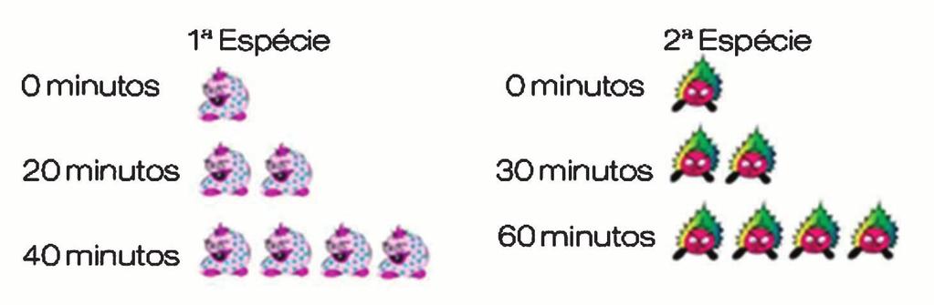 Questão 11 Em determinada amostra encontram-se duas populações distintas de bactérias, a 1ª espécie, tem sua população duplicada a cada 20 minutos e a segunda espécie, duplica sua população em 30