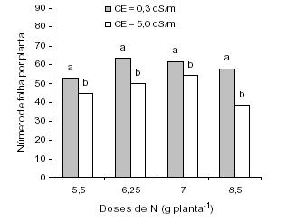 solo Serve para enriquecer solos pobres em nutrientes e melhorar as características físicas do solo Aumenta a capacidade das plantas na absorção de nutrientes (macro e micro) Facilita a aeração do