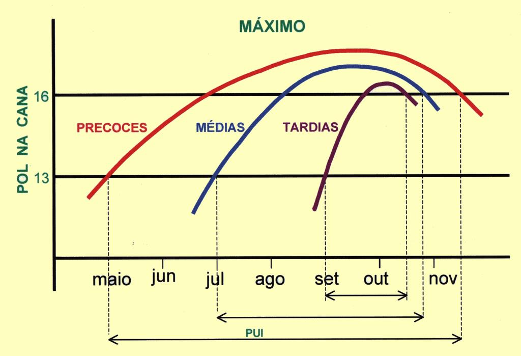 Comportamento das