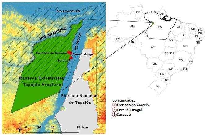 Figura 1. Localização das três comunidades estudadas, localizadas no baixo Tapajós, Reserva Extrativista Tapajós-Arapiuns, Município de Santarém, Pará, Brasil.