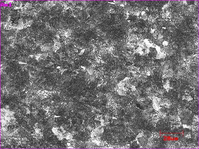 ISSN 1516-392X escuros sugerem a presença de carbonetos.