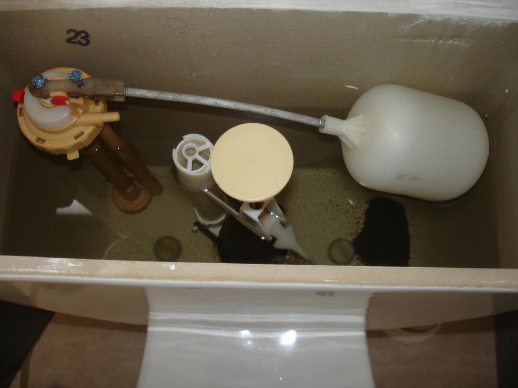 Caixa acoplada servida com água de chuva sem tratamento, nem descarte de primeiras chuvas, 5