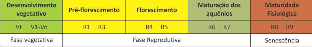 *Na produção de silagem podem ser