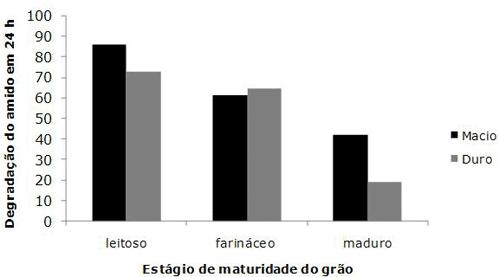 Degradação ruminaldo amido em híbridos de grão duro ou macio em três estágios de maturidade (Pereira et al.