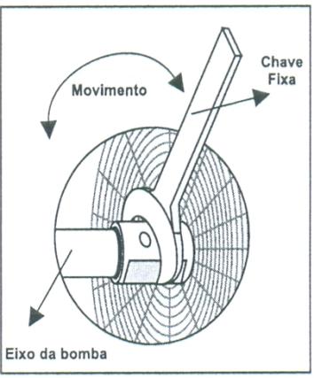 4 -Motobomba Buffalo Multiestágio IMPORTANTE Antes de fazer a instalação da motobomba, verifique se o conjunto girante está livre, para evitar que o motor sofra um esforço desnecessário.