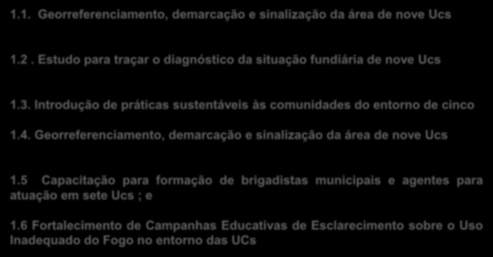 1: Apoio à consolidação do sistema de áreas protegidas no bioma Amazônia 1.1. Georreferenciamento, demarcação e sinalização da área de nove Ucs 1.