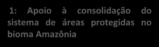 Introdução de práticas sustentáveis às comunidades do entorno de cinco 1.4.