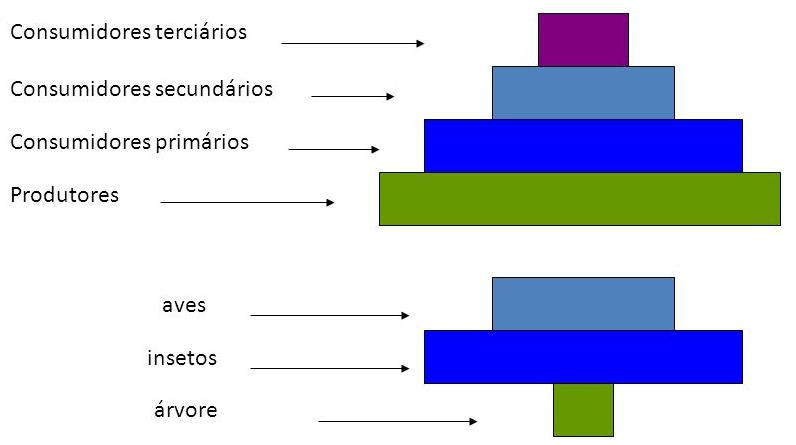 Fluxo de