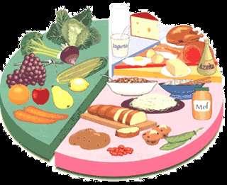 A digestão dos alimentos Ao longo do processo de digestão, os alimentos passam por. As substâncias resultantes da digestão podem, então, ser absorvidas pelo intestino e são transferidas para o.