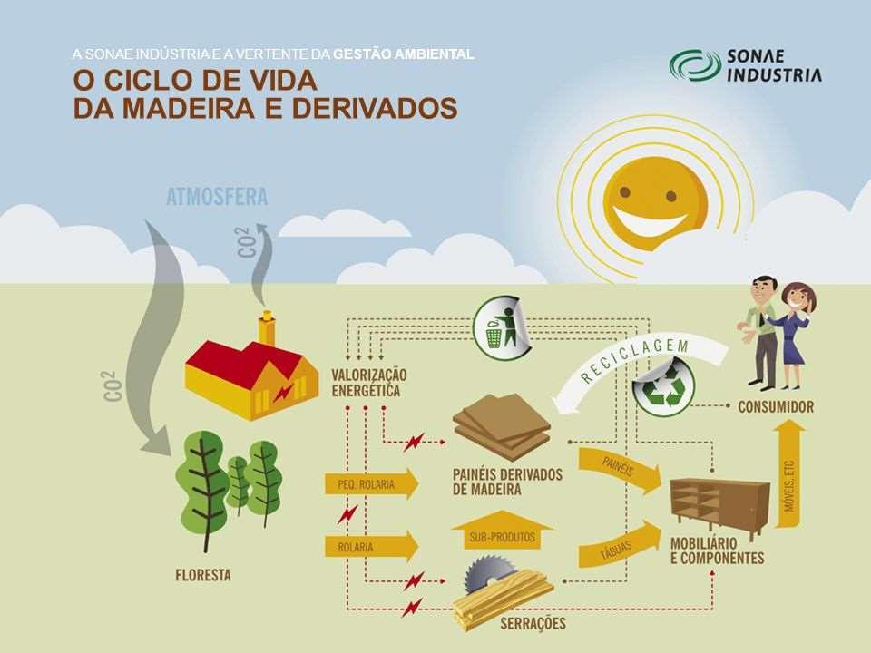 REVISÃO DE LITERATURA MADEIRA: Material de caráter ecológico e grande potencial sustentável largamente aplicado na construção civil