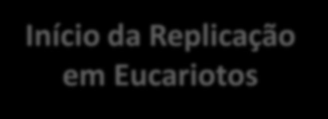 Início da Replicação em Eucariotos ORC