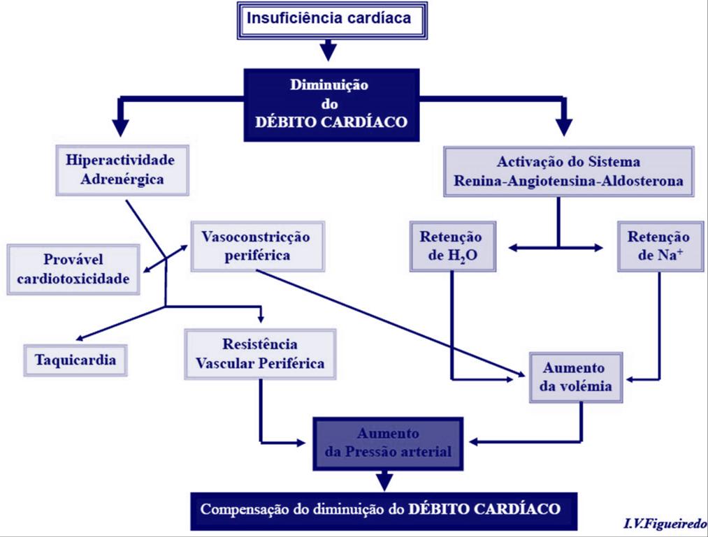 Insuficiência cardíaca