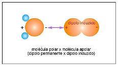 3 Forças de van der Waals As ligações entre moléculas polares e apolares surgem porque uma molécula polar pode induzir uma