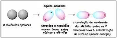 Forças de London As forças atrativas existem em moléculas polares e em moléculas apolares, como é o caso do I 2.