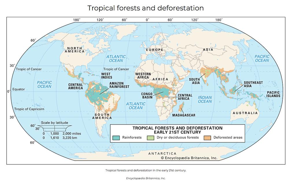 As mudanças climáticas: causas e