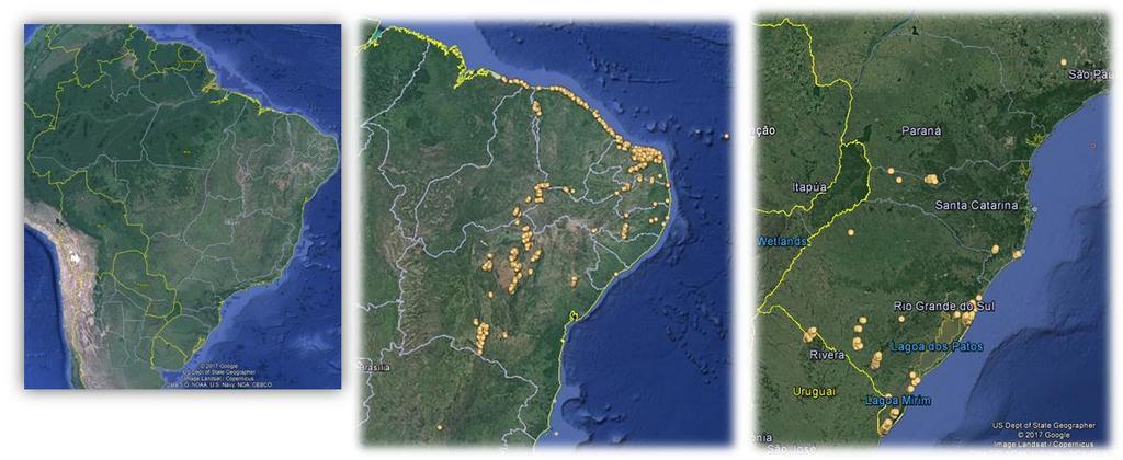 Localização das Usinas Eólicas Nordeste Sul Fonte: Dados ONS (julho/2017) NE CE-19% 1739 MW RN- 39%