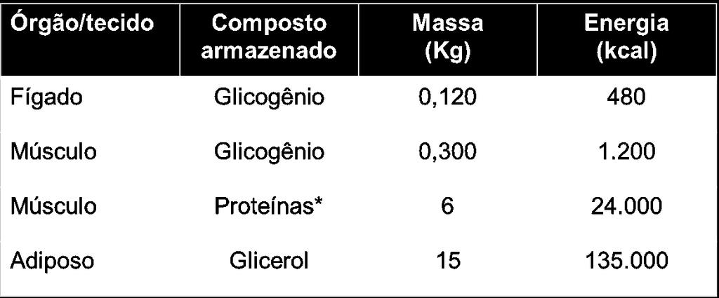 Período absortivo ou pós-prandial Até 2 horas após refeição transitório no plasma: glicose, aminoácidos e triacilgliceróis (QM) secreção insulina secreção de glucagon Período anabólico síntese de