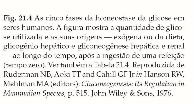 Homeostase da glicose em seres