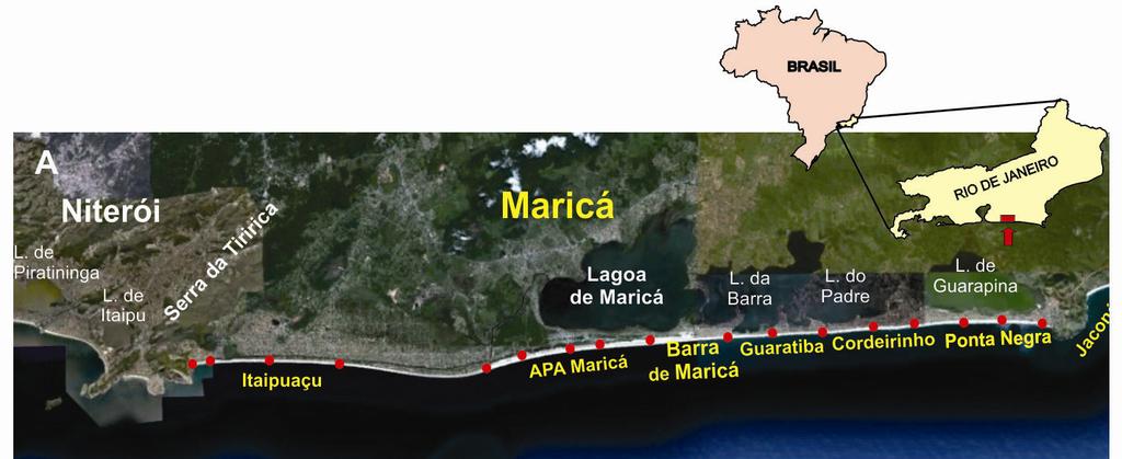 Figura 1- (A) Litoral de Maricá - Imagem do Google Earth, 2009; (B,C) Geomorfologia do litoral de Maricá: praias e lagoas à retaguarda das barreiras. Fotos: Guichard, 2009.