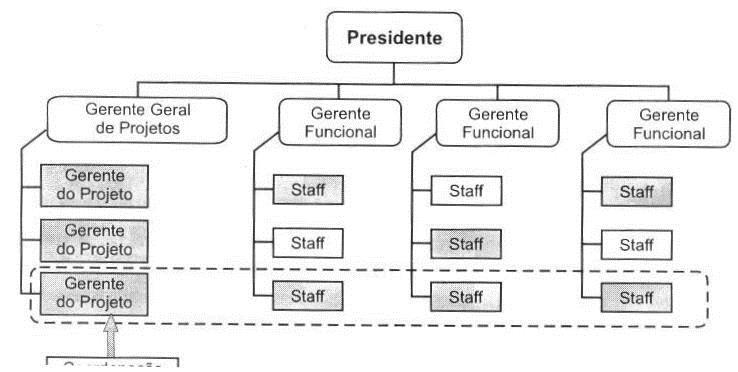 Estruturas organizacionais para o gerenciamento de projetos A- Organização funcional ou hierárquica mais comum, as atividades são divididas funcionalmente por especialidade e disciplina.