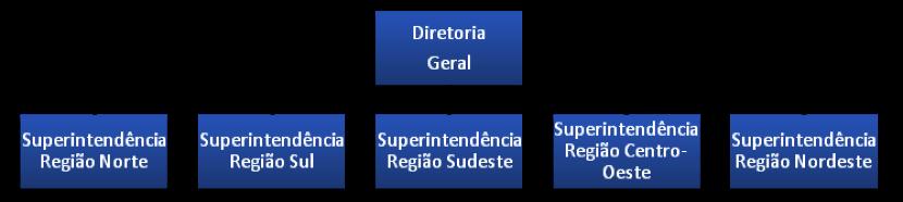 É difícil coordenar políticas gerais da organização; Em situações de instabilidade externa, pode gerar temores e ansiedades na força de trabalho de determinada linha de produto, em função da