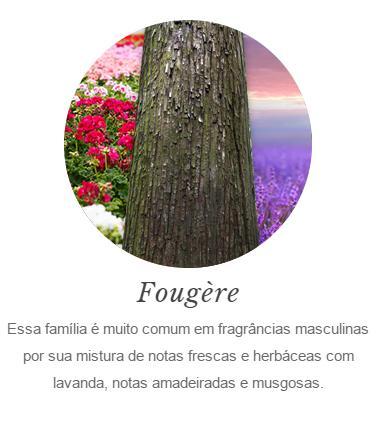 Fougere: Upbeat masculino (f. aromático) Domain (f.