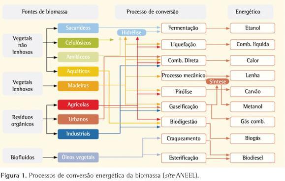 Processos de conversão energética da biomassa Usos
