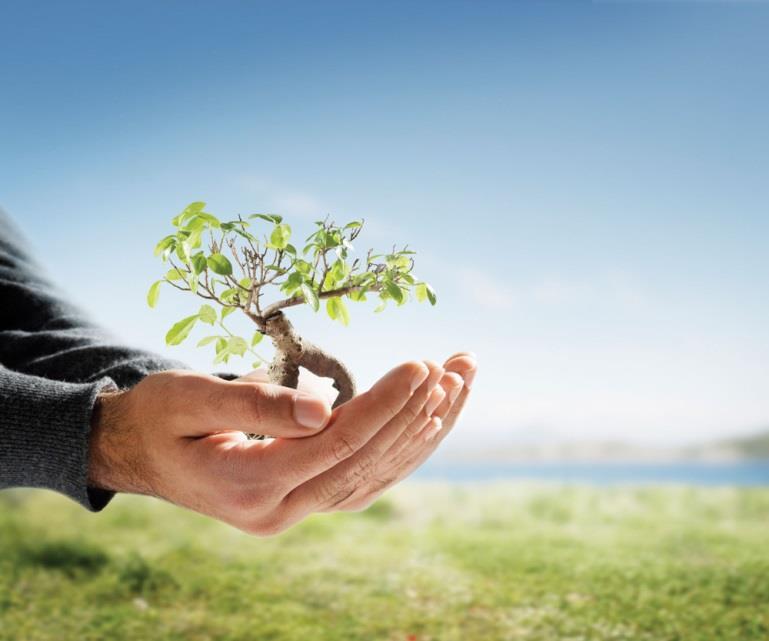 O objetivo maior da gestão ambiental deve ser a busca permanente de melhoria da qualidade