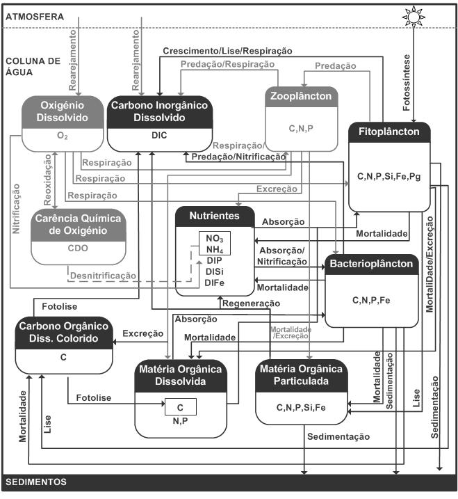 Modelação Numérica - Modelo Ecológico Variáveis Ecológicas Zooplâncton Fitoplâncton Bacterioplâncton Matéria Orgânica Dissolvida